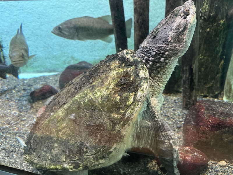 井の頭自然文化園 水生物館