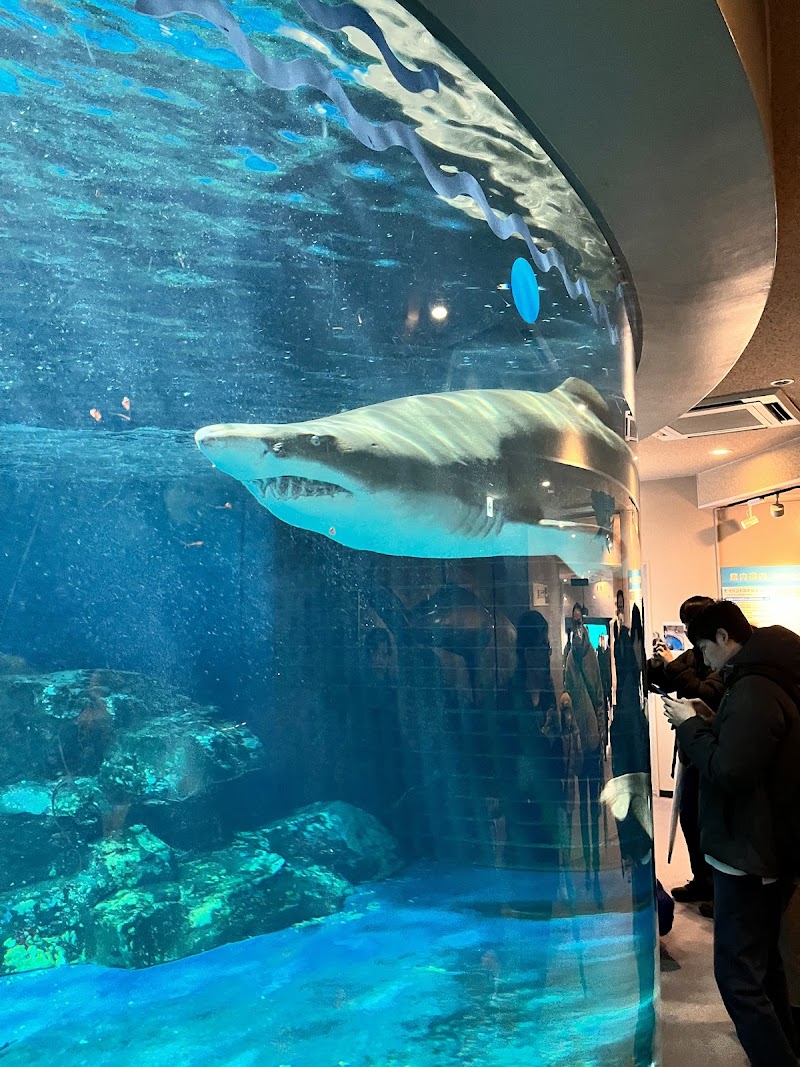 しながわ水族館