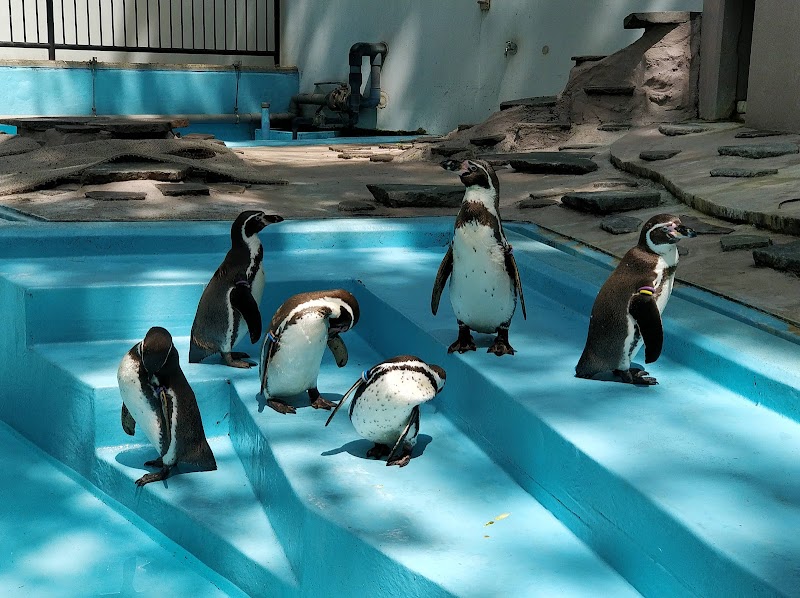 夢見ヶ崎動物公園