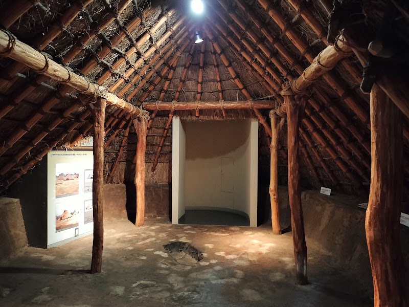 船橋市飛ノ台史跡公園博物館