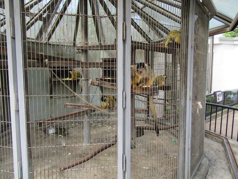 市川市動植物園