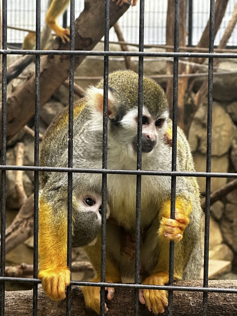 こども動物園