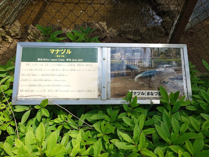 大崎公園 子供動物園