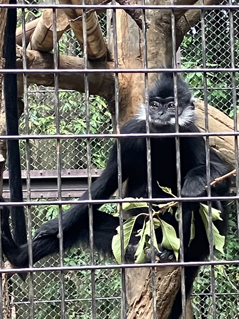 横浜動物の森公園（よこはま動物園ズーラシア）