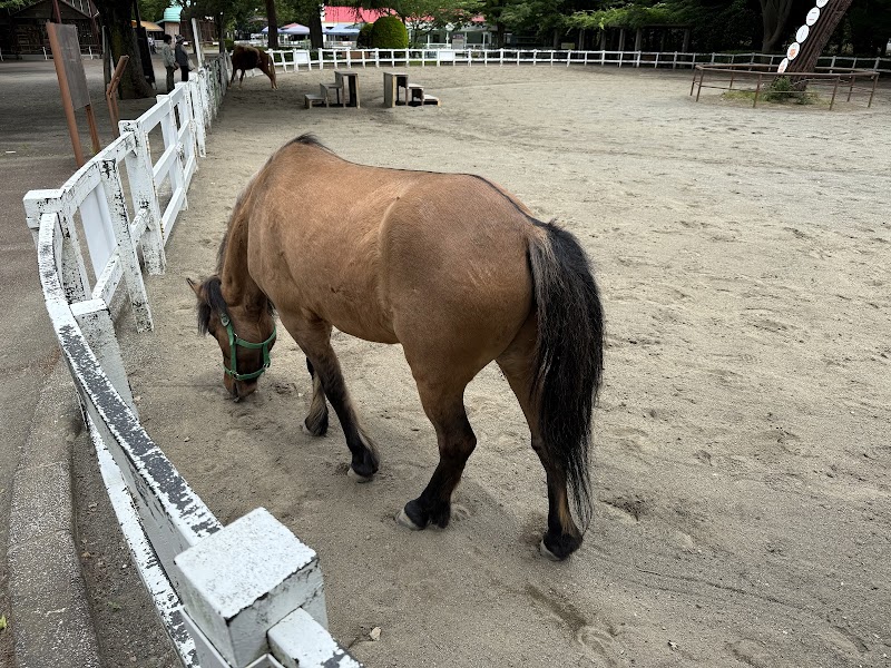 ふれあい動物園