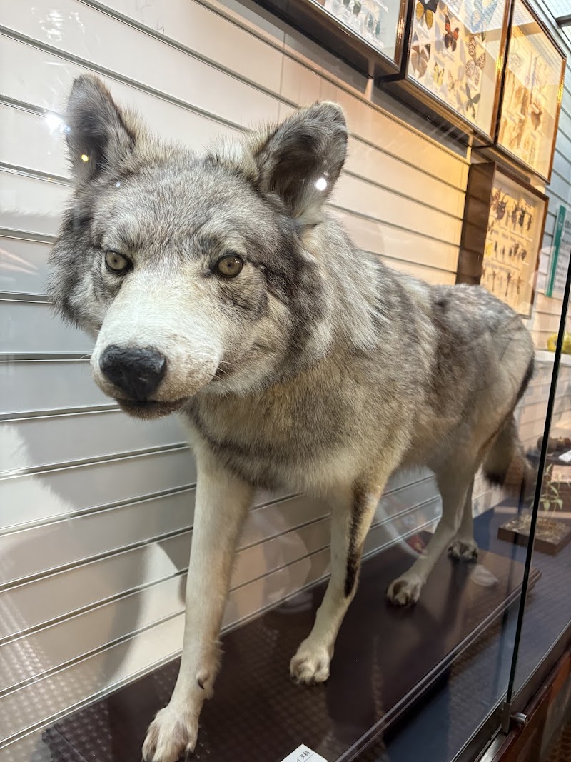 ミュージアムパーク茨城県自然博物館