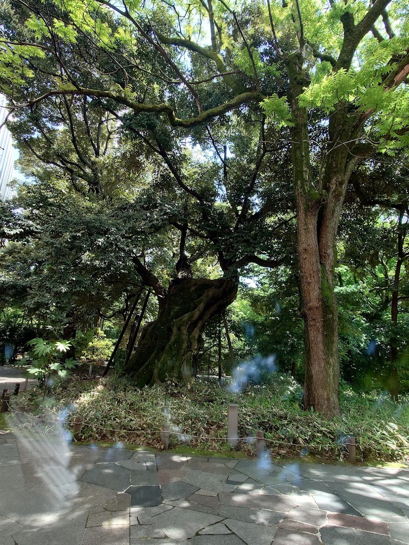 東京藝術大学大学美術館