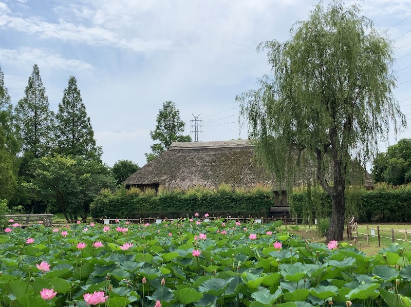 浦和くらしの博物館民家園
