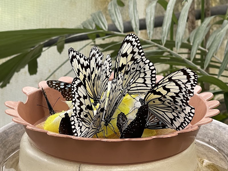 足立区生物園