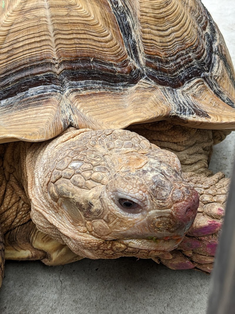 板橋こども動物園
