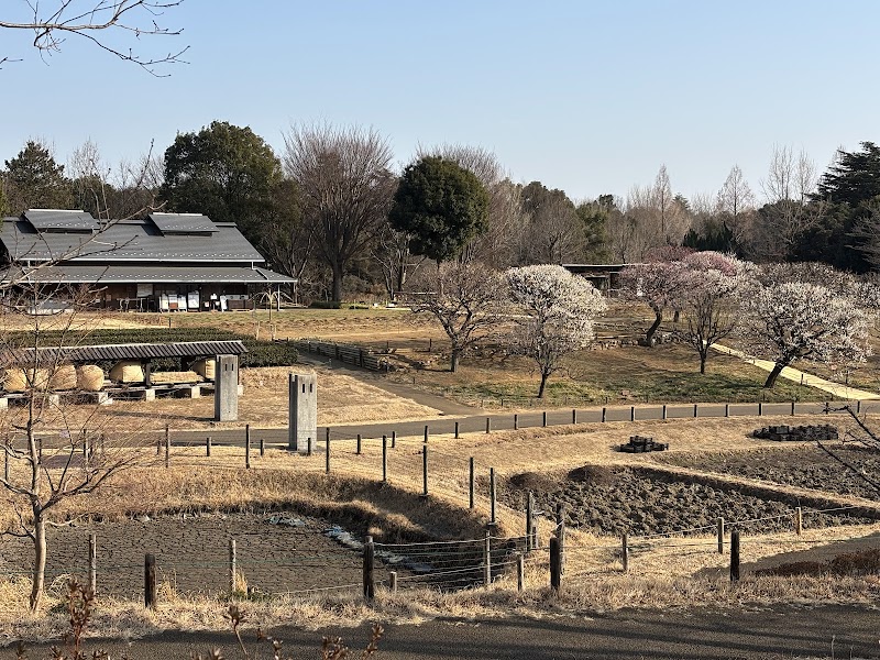 国営昭和記念公園 こもれびの里