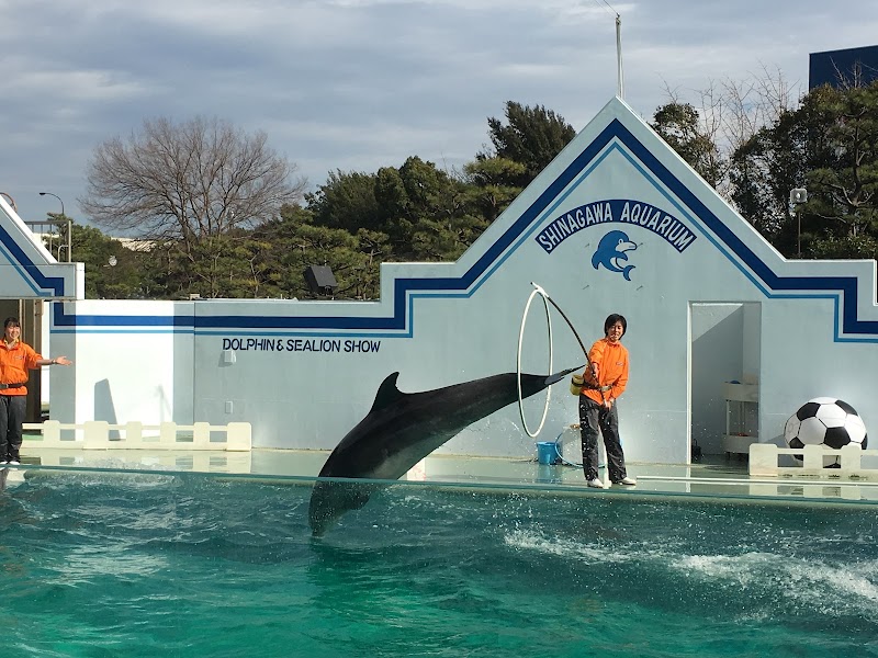 しながわ水族館