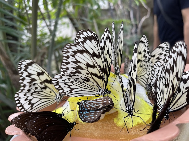 足立区生物園