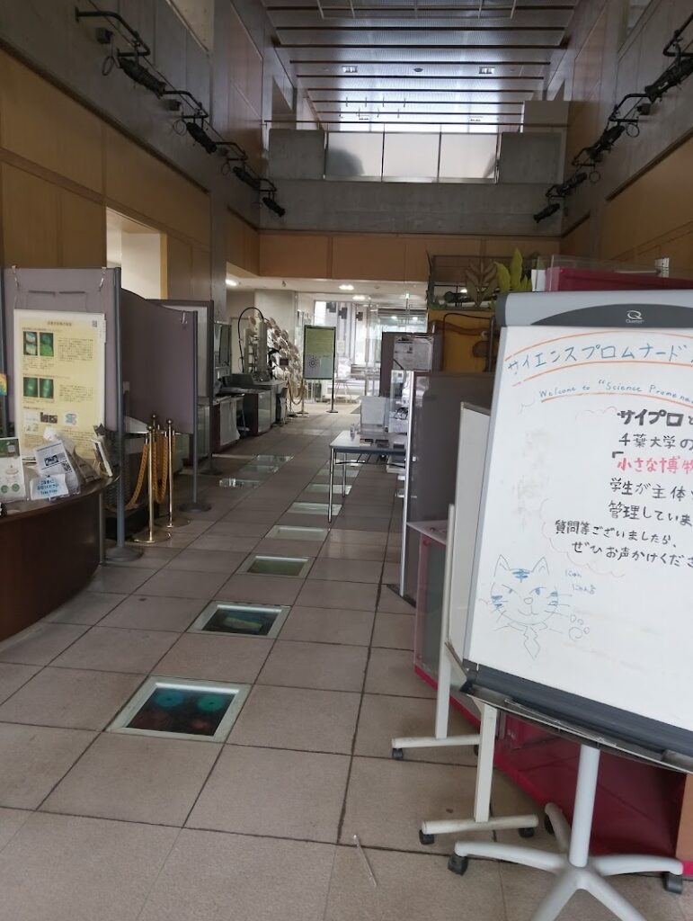 千葉大学サイエンスプロムナード の写真
