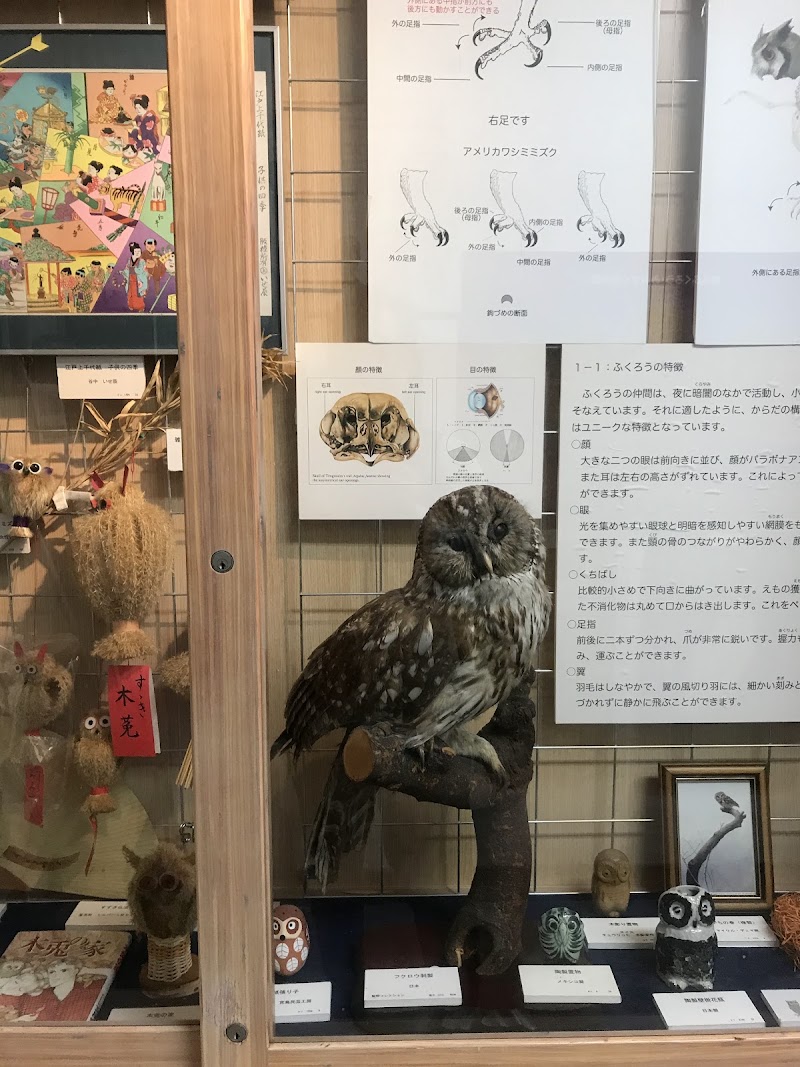 豊島ふくろう・みみずく資料館