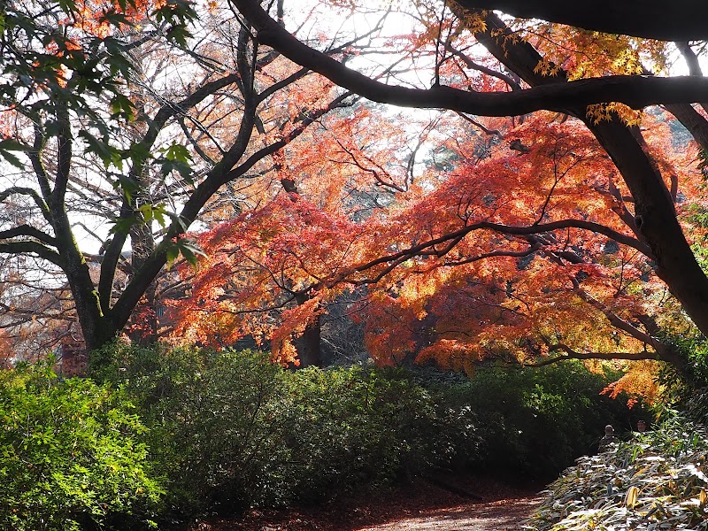 清水公園