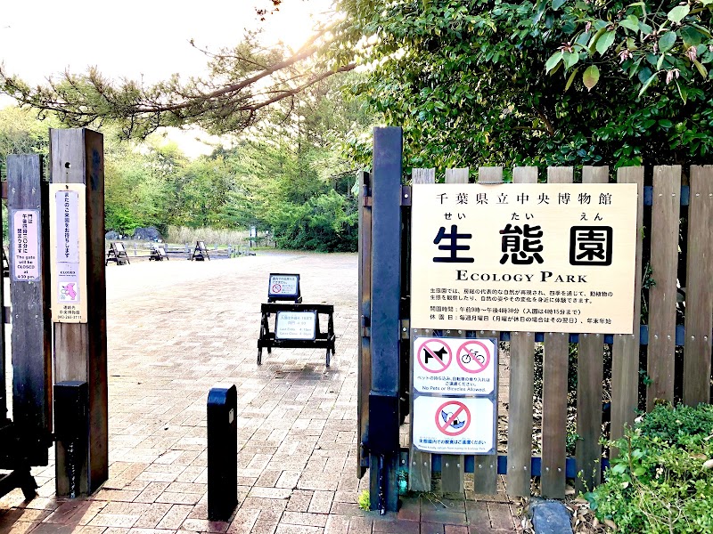 生態園 の写真