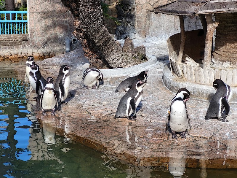 こども動物園