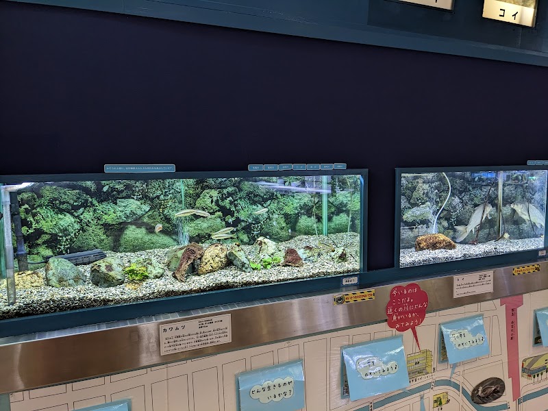 ミニミニ水族館
