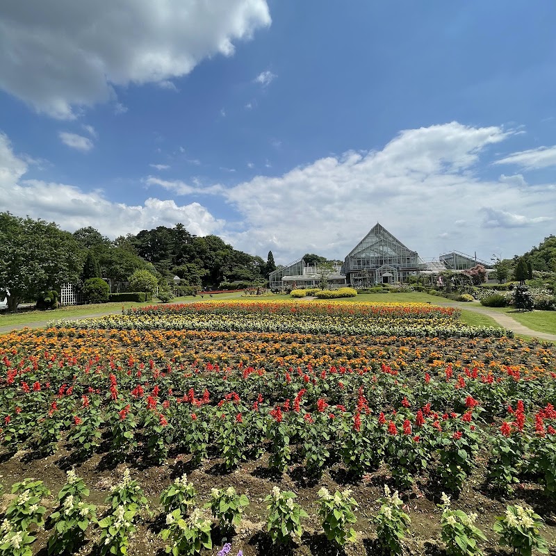 清水公園