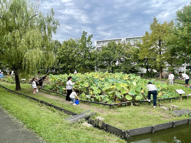 あやせ川清流館