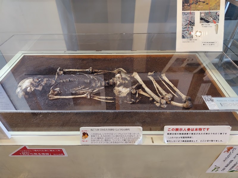 鎌ケ谷市郷土資料館