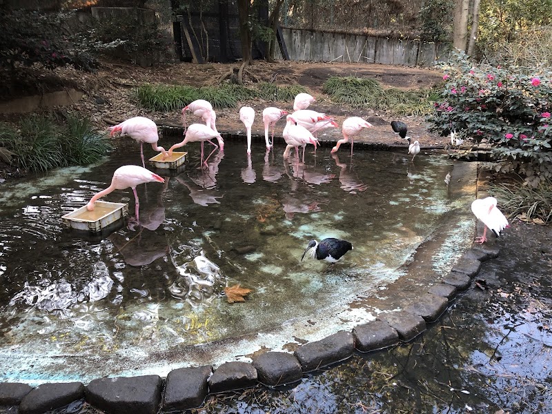 大宮公園小動物園