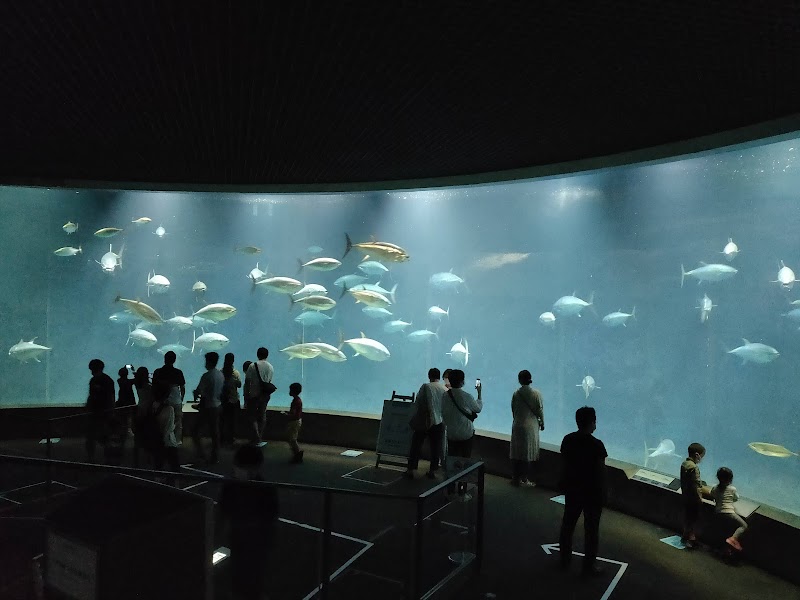 葛西臨海水族園