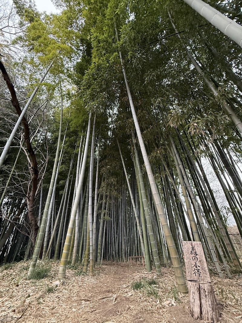 森の美術館