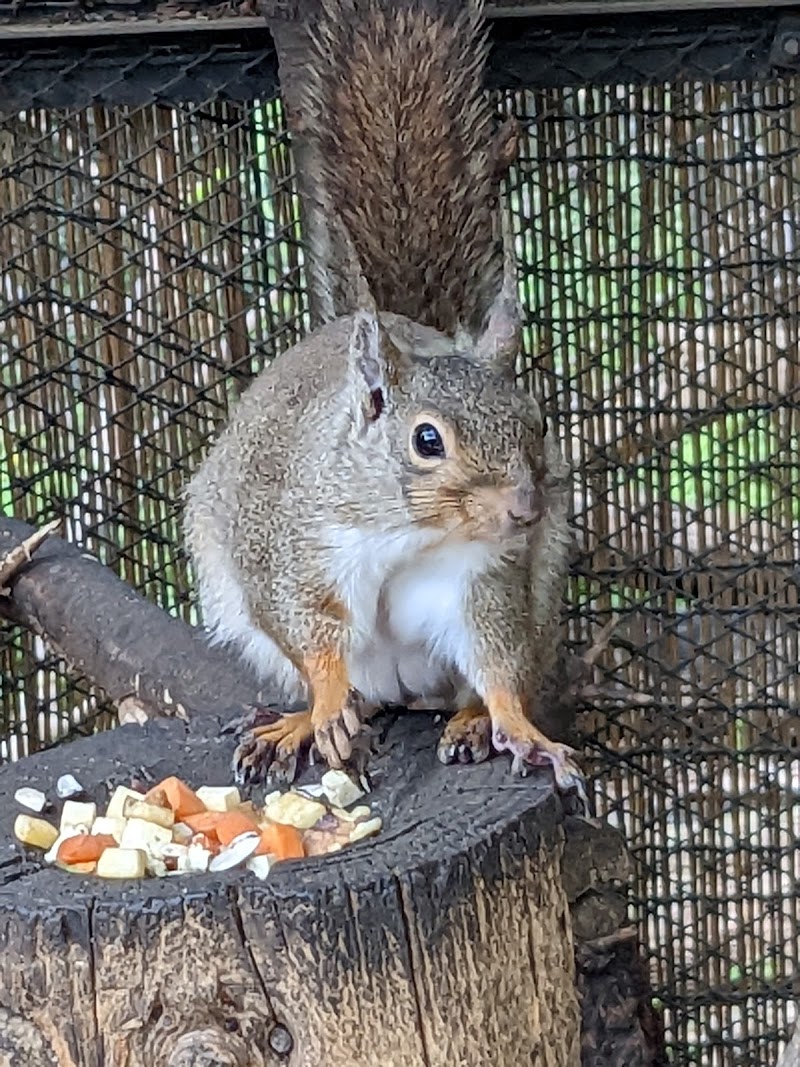 大宮公園小動物園