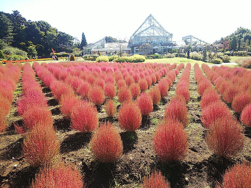 清水公園