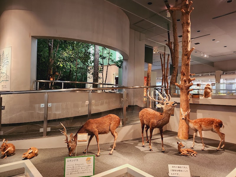 千葉県立中央博物館