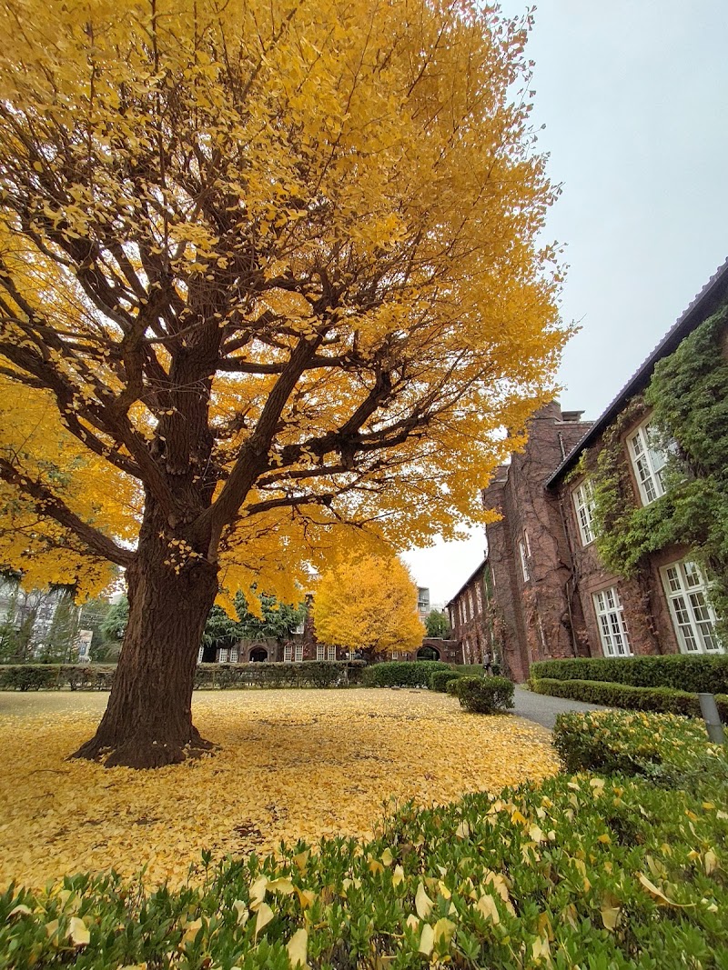 立教学院展示館