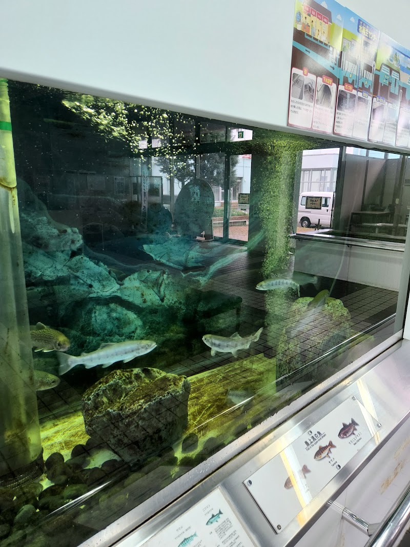 多摩川ふれあい水族館