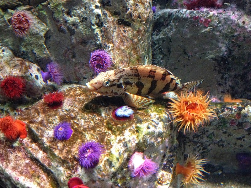 葛西臨海水族園