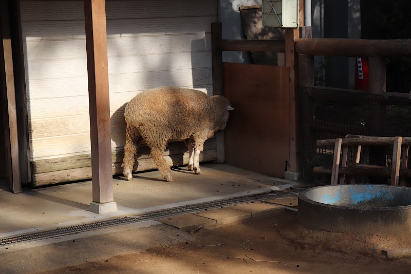 大崎公園 子供動物園