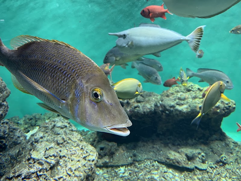 葛西臨海水族園