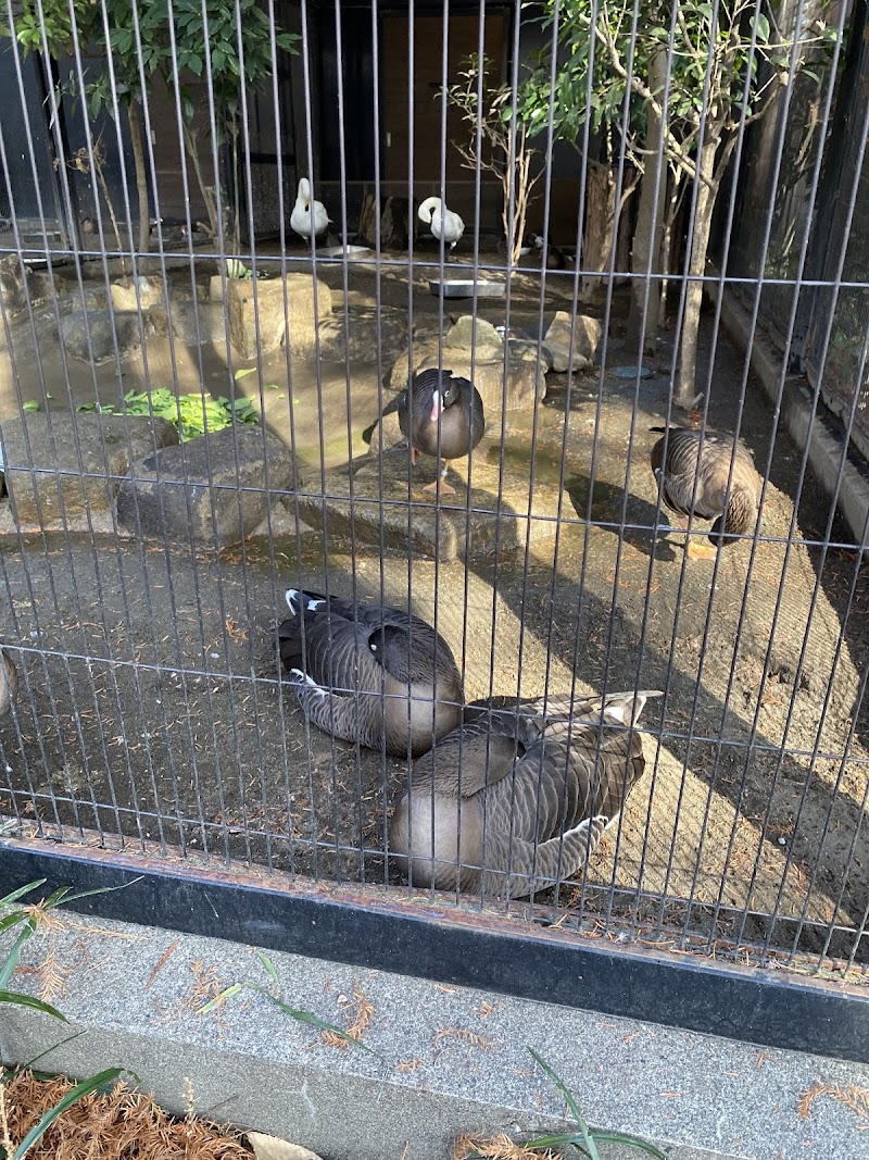 井の頭自然文化園 水生物館