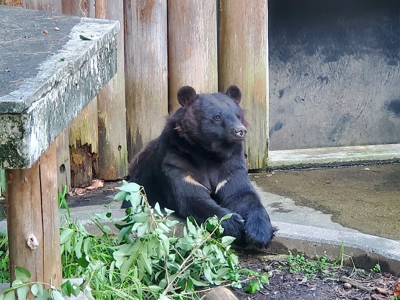 大宮公園小動物園