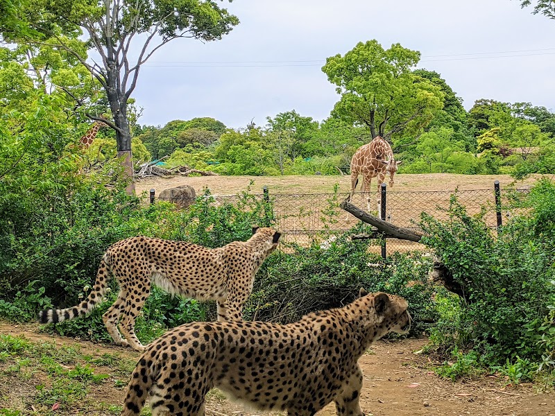 横浜動物の森公園（よこはま動物園ズーラシア）