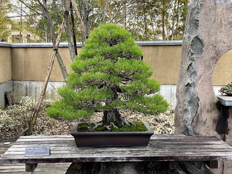 大宮盆栽美術館