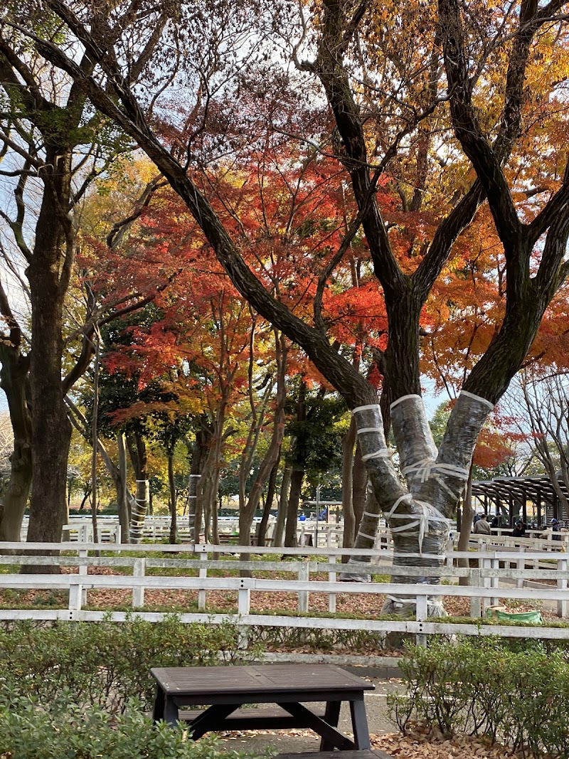 相模原麻溝公園 ふれあい動物広場