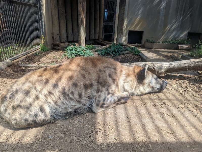 大宮公園小動物園