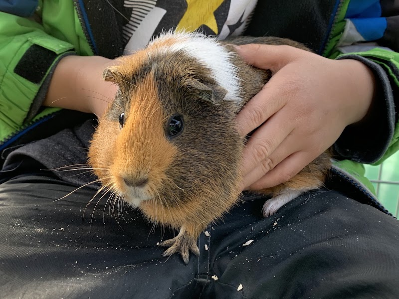 ふれあい動物園