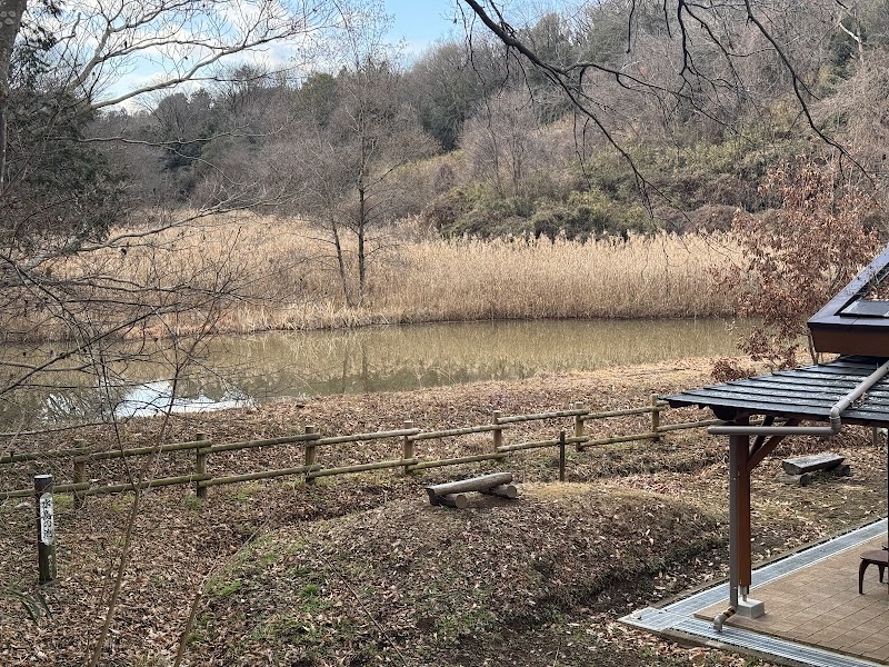 さいたま緑の森博物館
