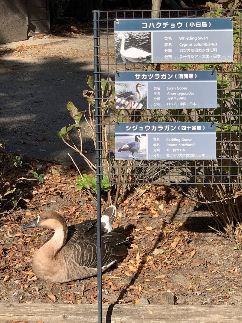 井の頭自然文化園 水生物館