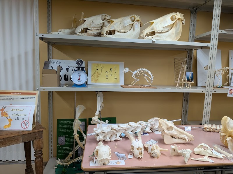 麻布大学いのちの博物館