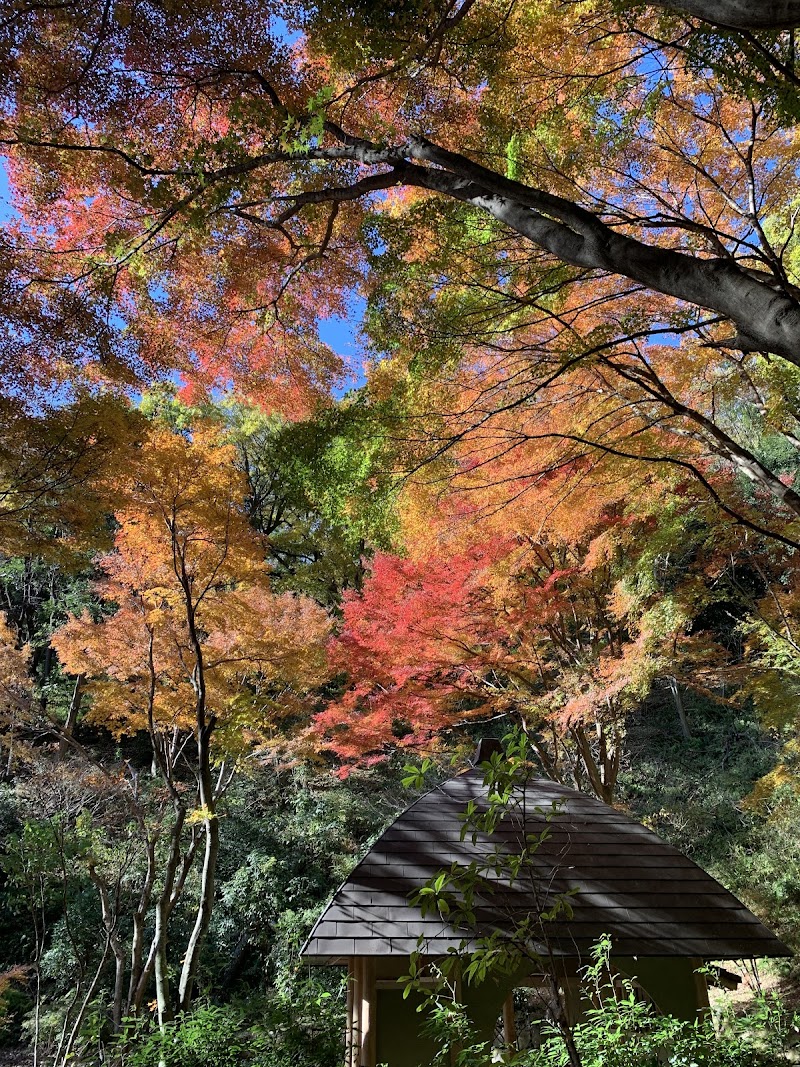 森の科学館