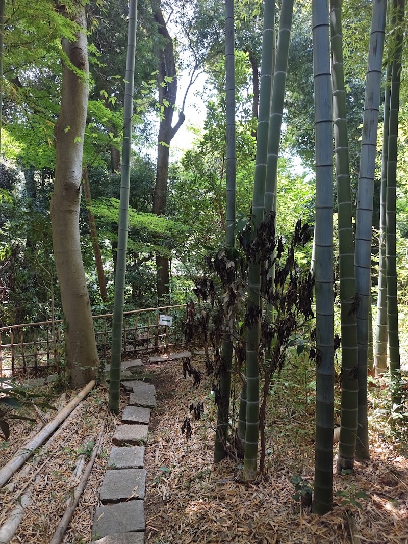 日吉の森庭園美術館