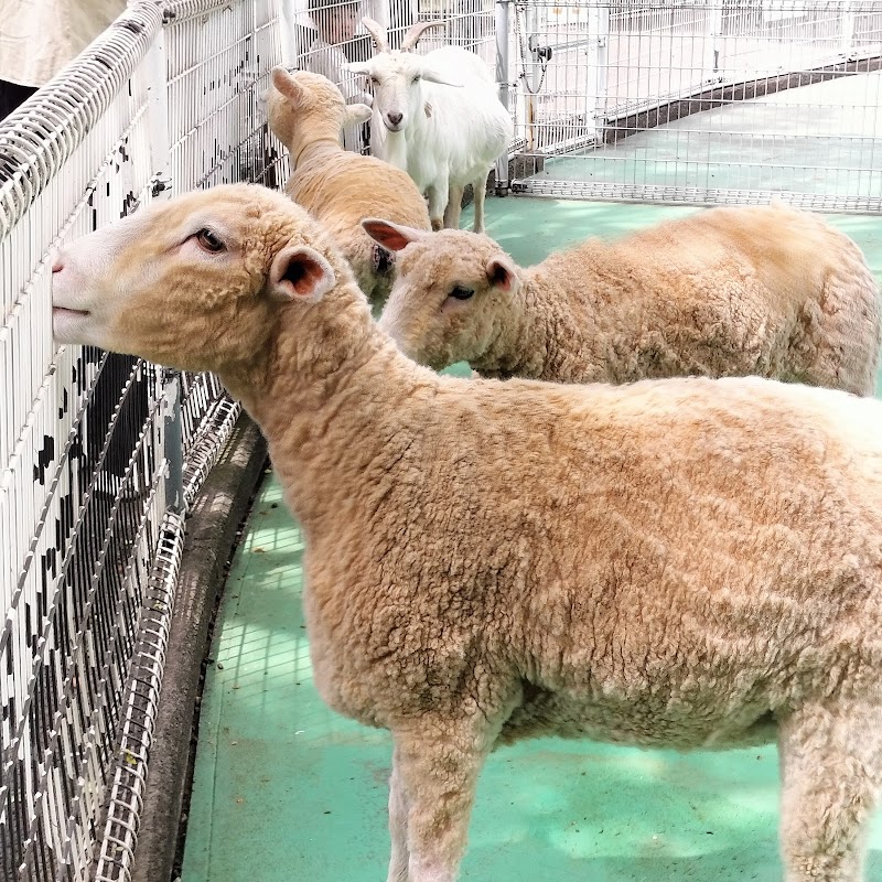ふれあい動物園